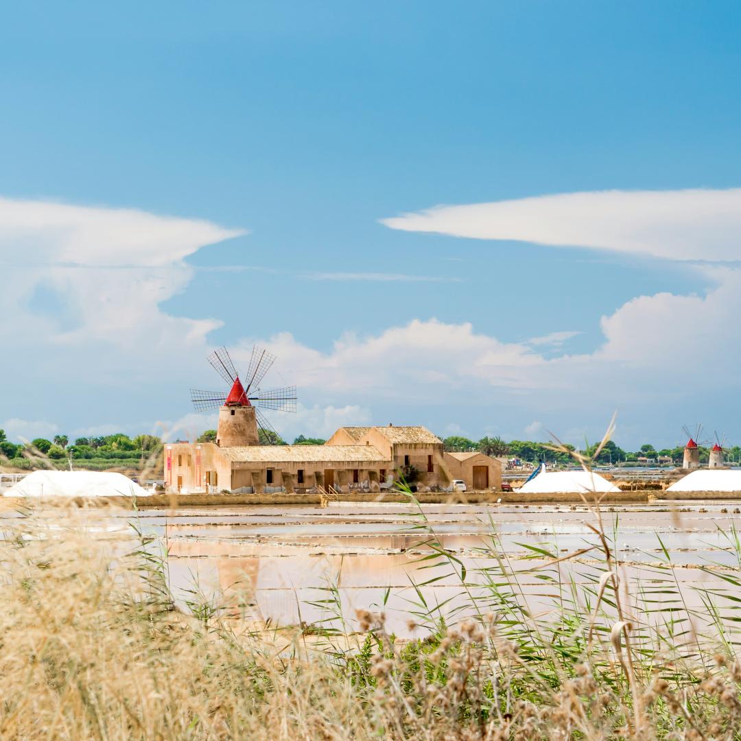 marsala-saline