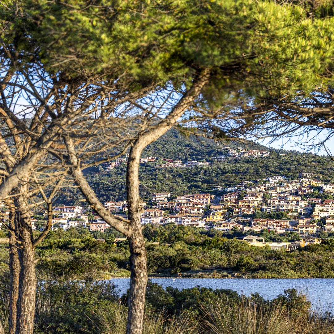 location-budoni-new-2