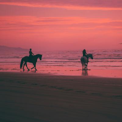 Horse-ride