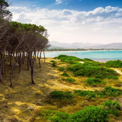 Budoni, Sardinia: Best Beaches, Attractions and Where to Stay