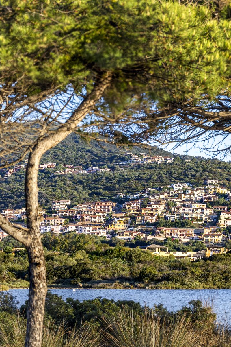 location-budoni-new-2