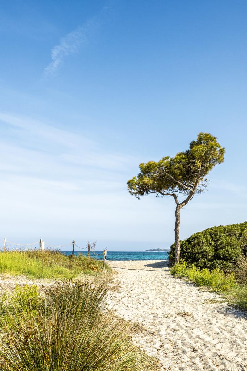 location-budoni-new-5