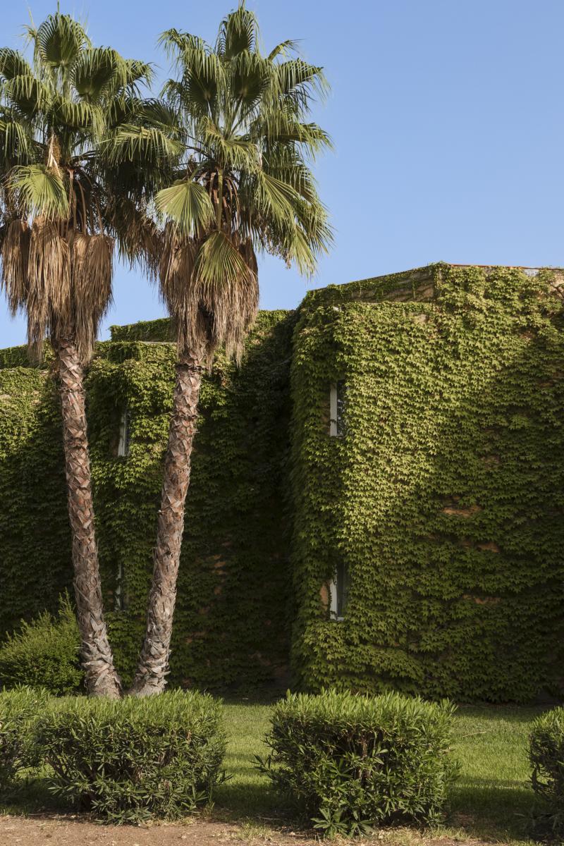 magias-brucoli-25-off-new