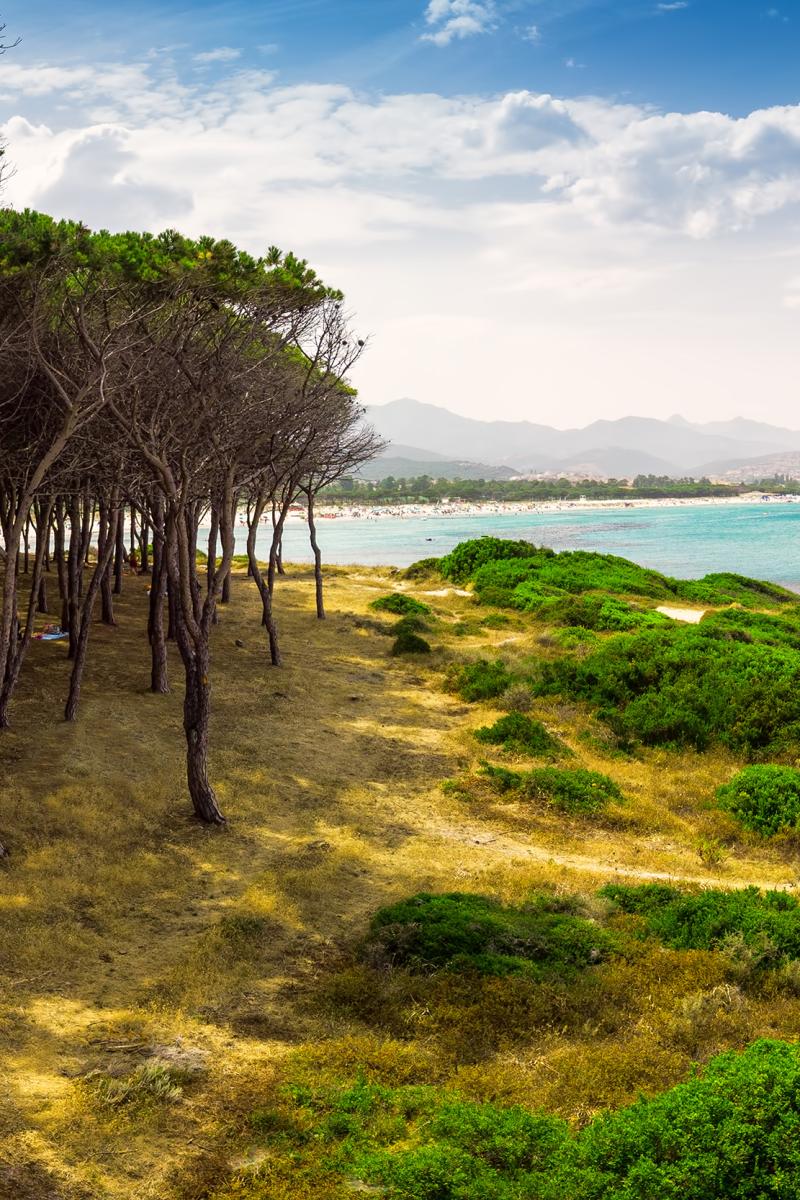 Budoni, Sardinia: best beaches, what to do and where to Stay