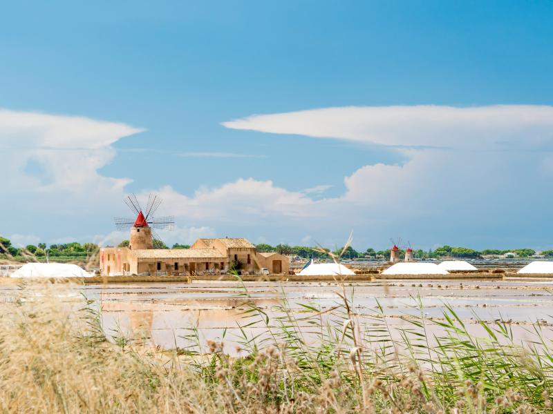 marsala-saline