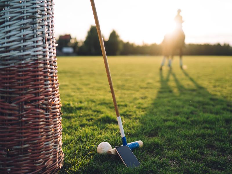 polo-stick-ball.jpg